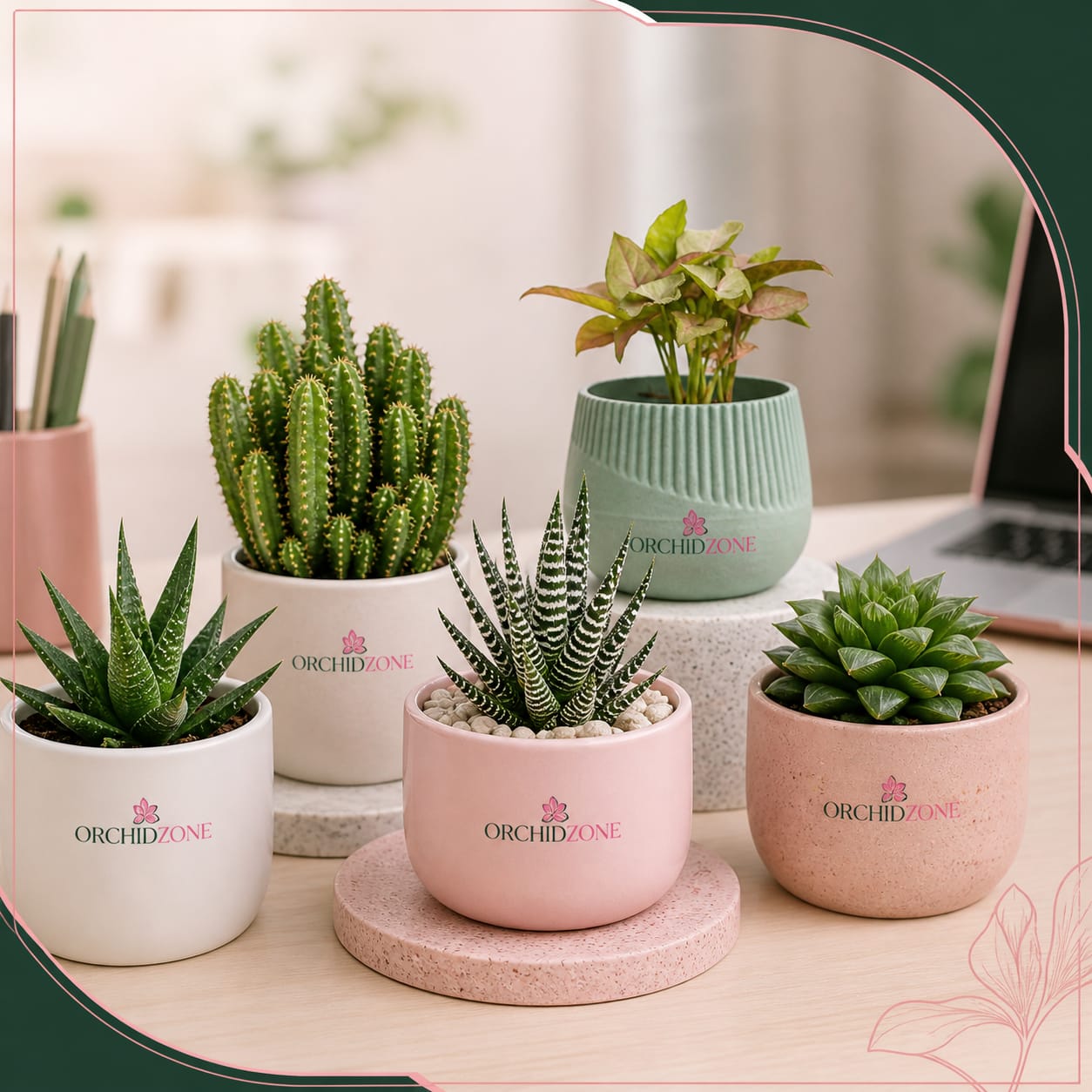 Desktop Jungles