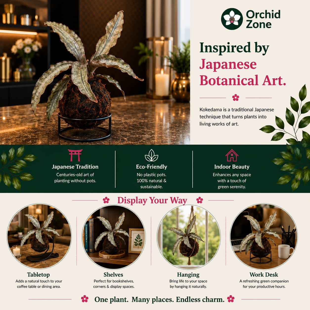 Kokedama Sansevieria Coppertone Plant