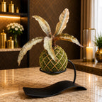 Kokedama Sansevieria Coppertone Plant