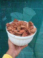 Coco Chips – Premium Potting Media for Orchids &amp; Indoor Plants