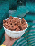 Coco Chips – Premium Potting Media for Orchids &amp; Indoor Plants