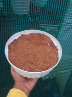 Coco Peat – Premium Growing Media for Orchids &amp; Indoor Plants