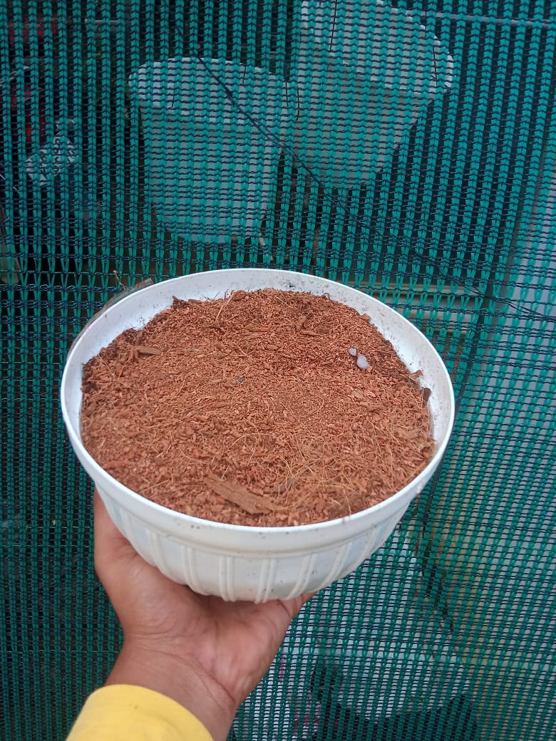 Coco Peat – Premium Growing Media for Orchids &amp; Indoor Plants