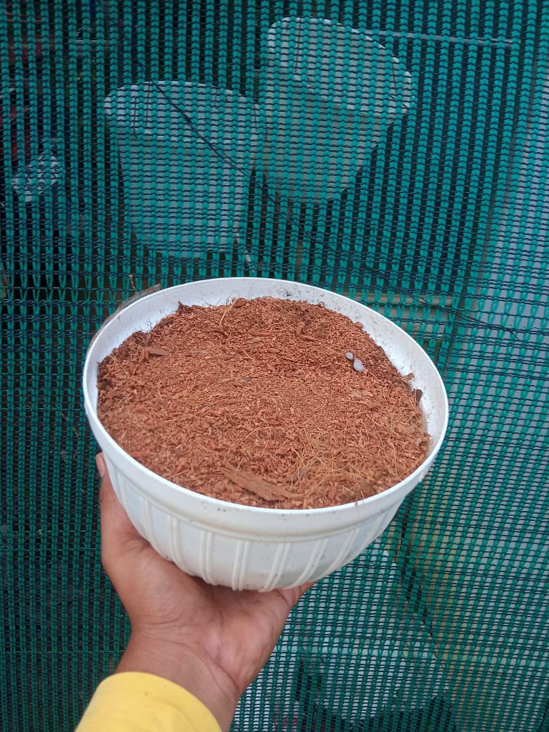 Coco Peat – Premium Growing Media for Orchids &amp; Indoor Plants