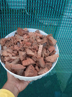 Coco Chips – Premium Potting Media for Orchids &amp; Indoor Plants