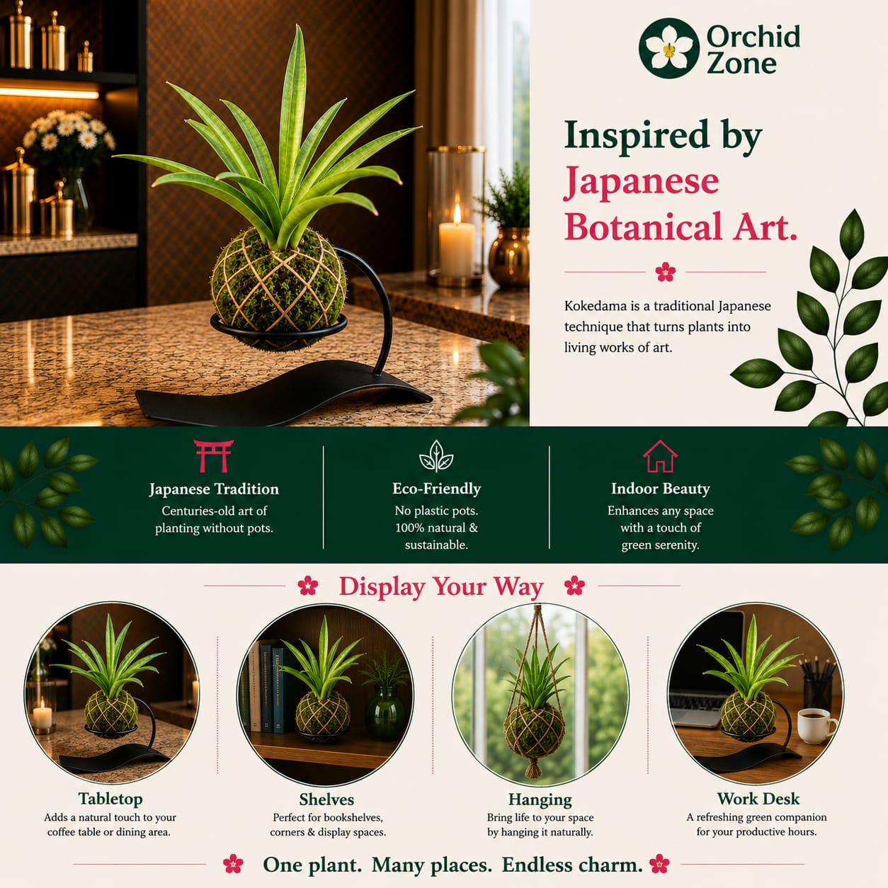 Kokedama Sansevieria Lilliput Plant