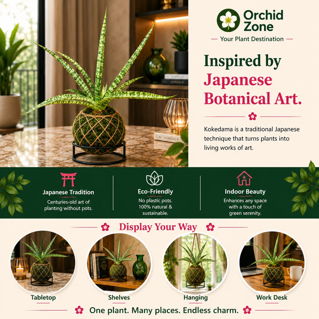 Kokedama Sansevieria Silver Steel Plant