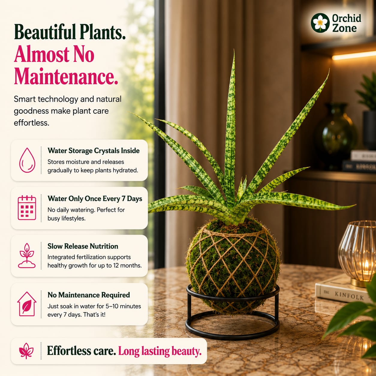 Kokedama Sansevieria Silver Steel Plant