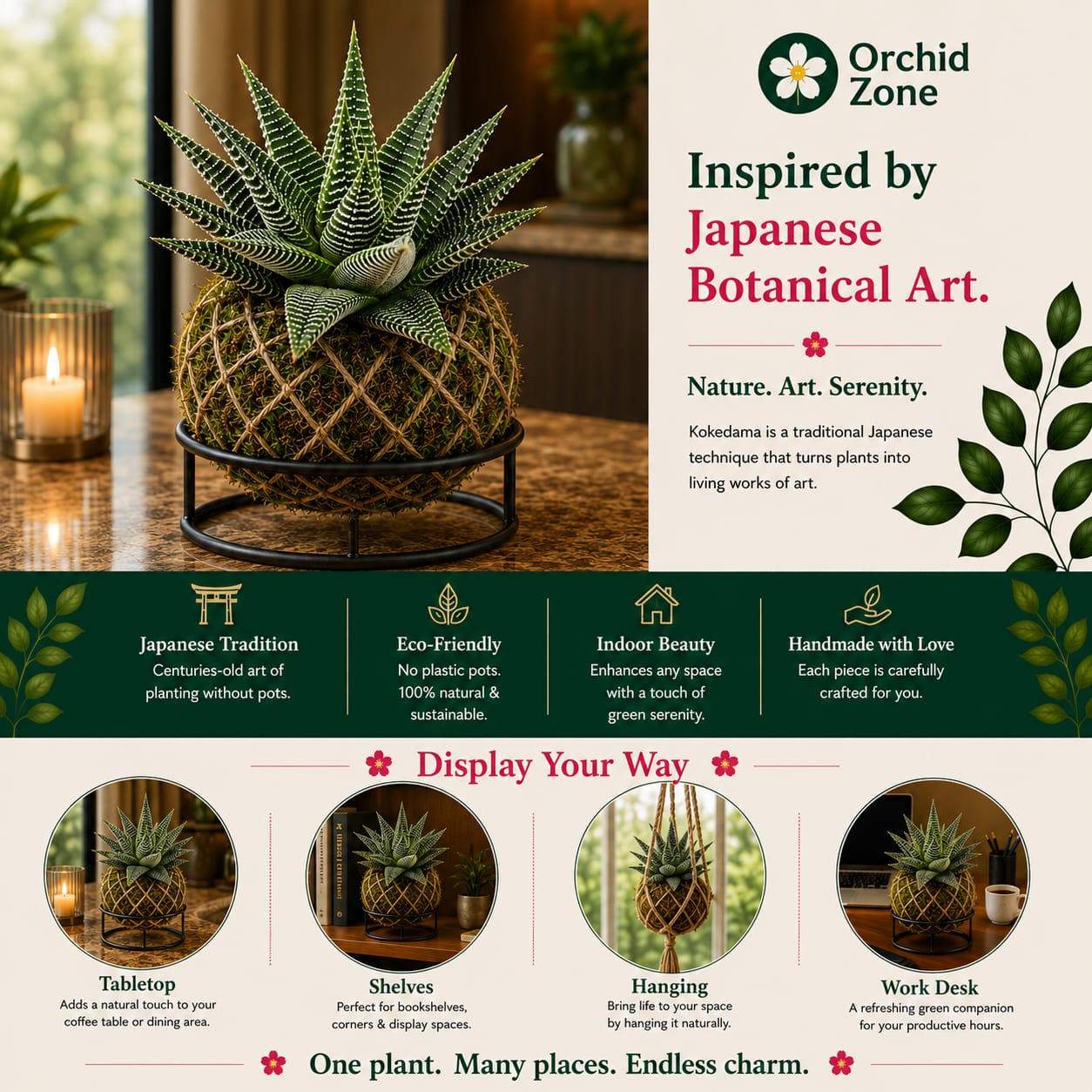 Kokedama Haworthia Spider Plant