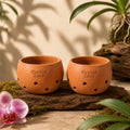 Orchid Zone Terracotta Pot