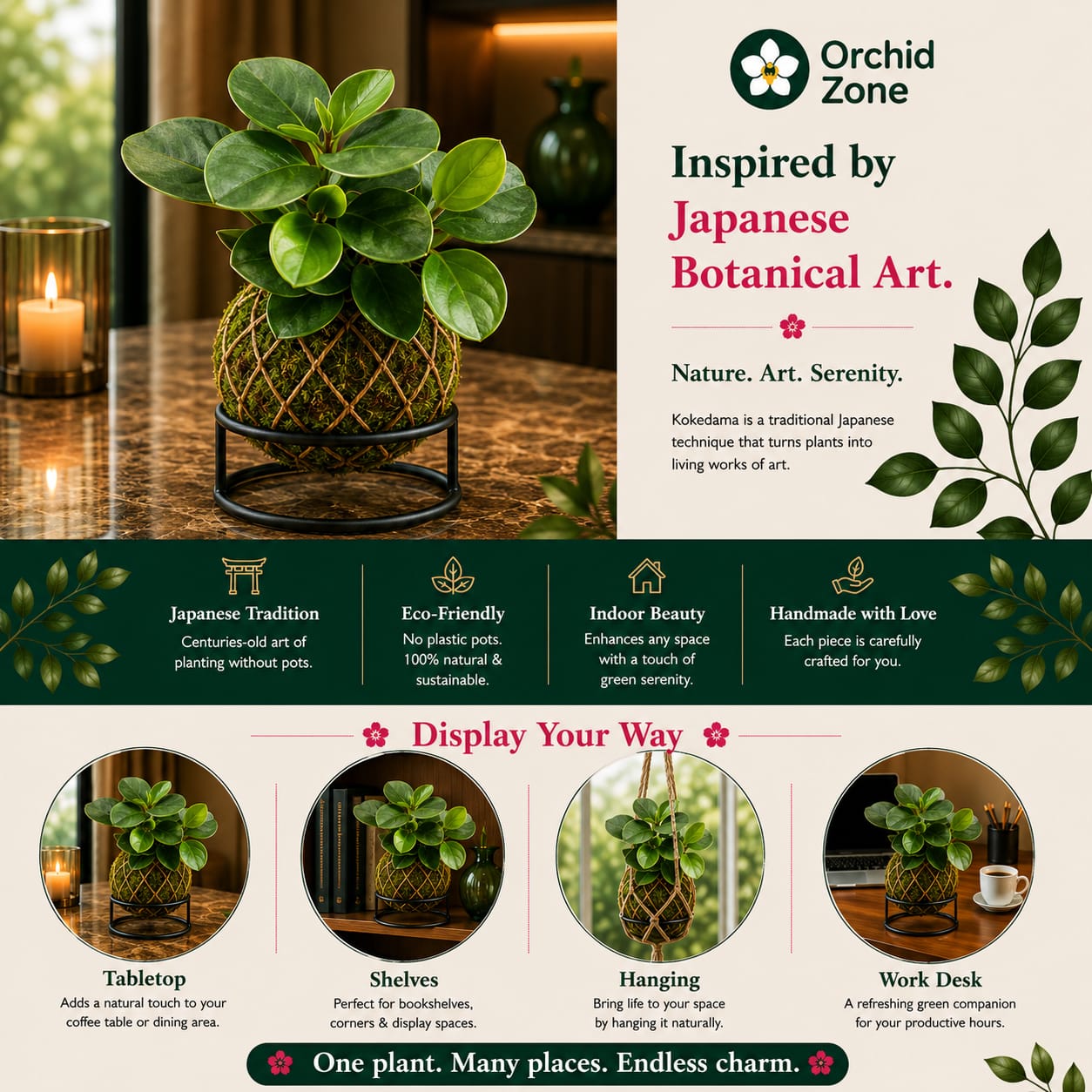Kokedama Peperomia Obtusifolia  Plant