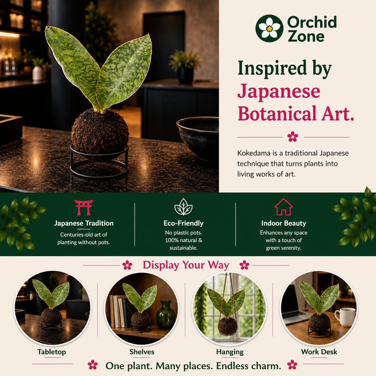 Kokedama Sansevieria Elephant indoor Plant