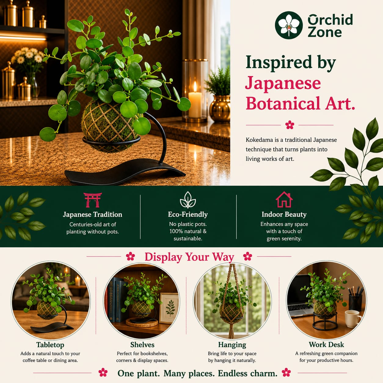 Kokedama Dollar Plant
