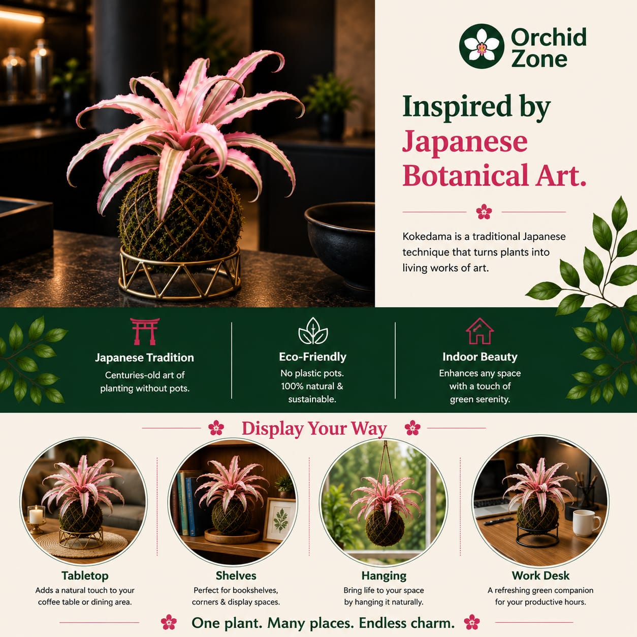 Kokedama Cryptanthus Light Pink