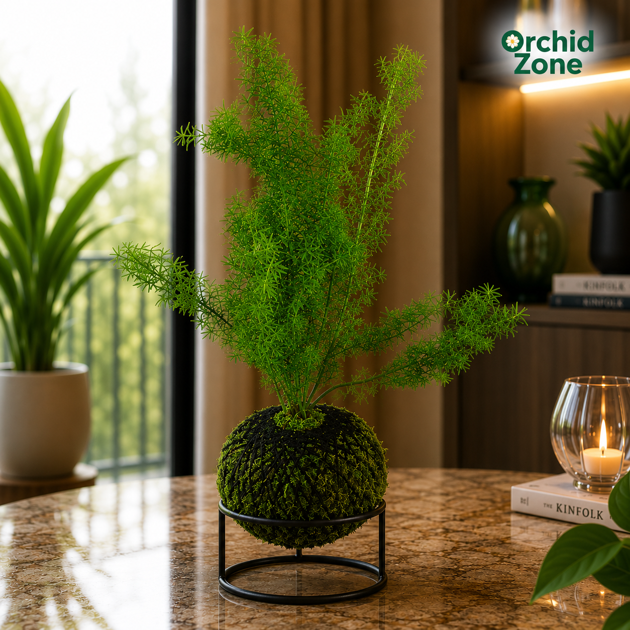 Kokedama Asparagus Fern