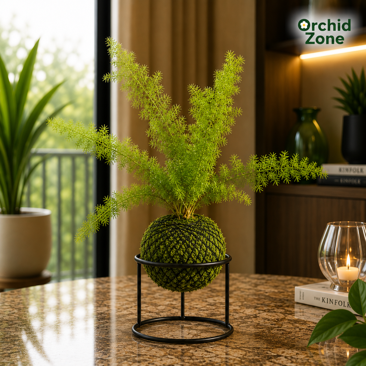 Kokedama Asparagus Fern