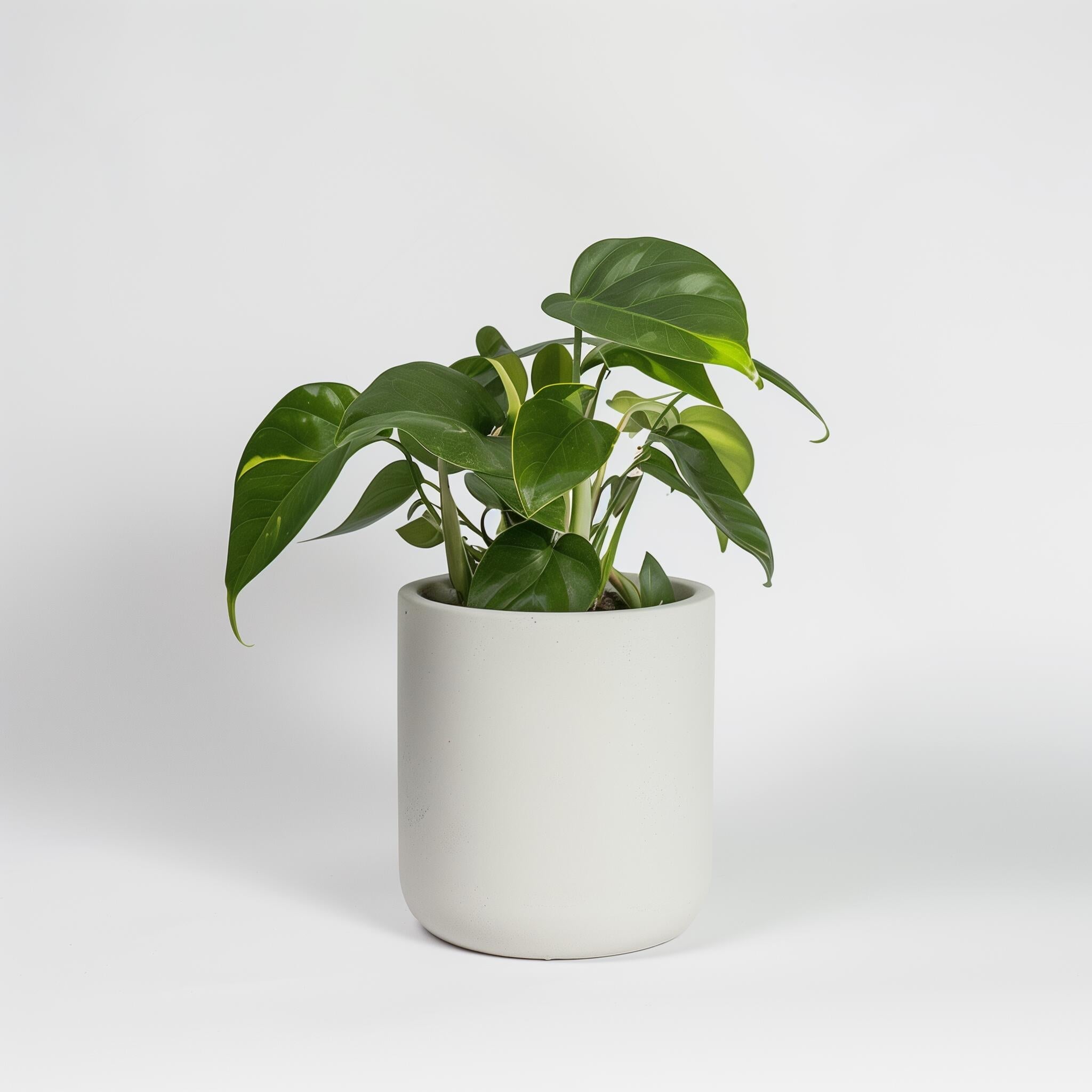 Example product